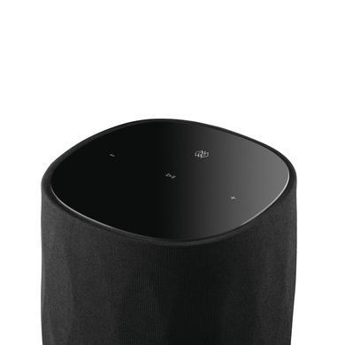 Бездротова колонка Bowers & Wilkins Formation Flex
